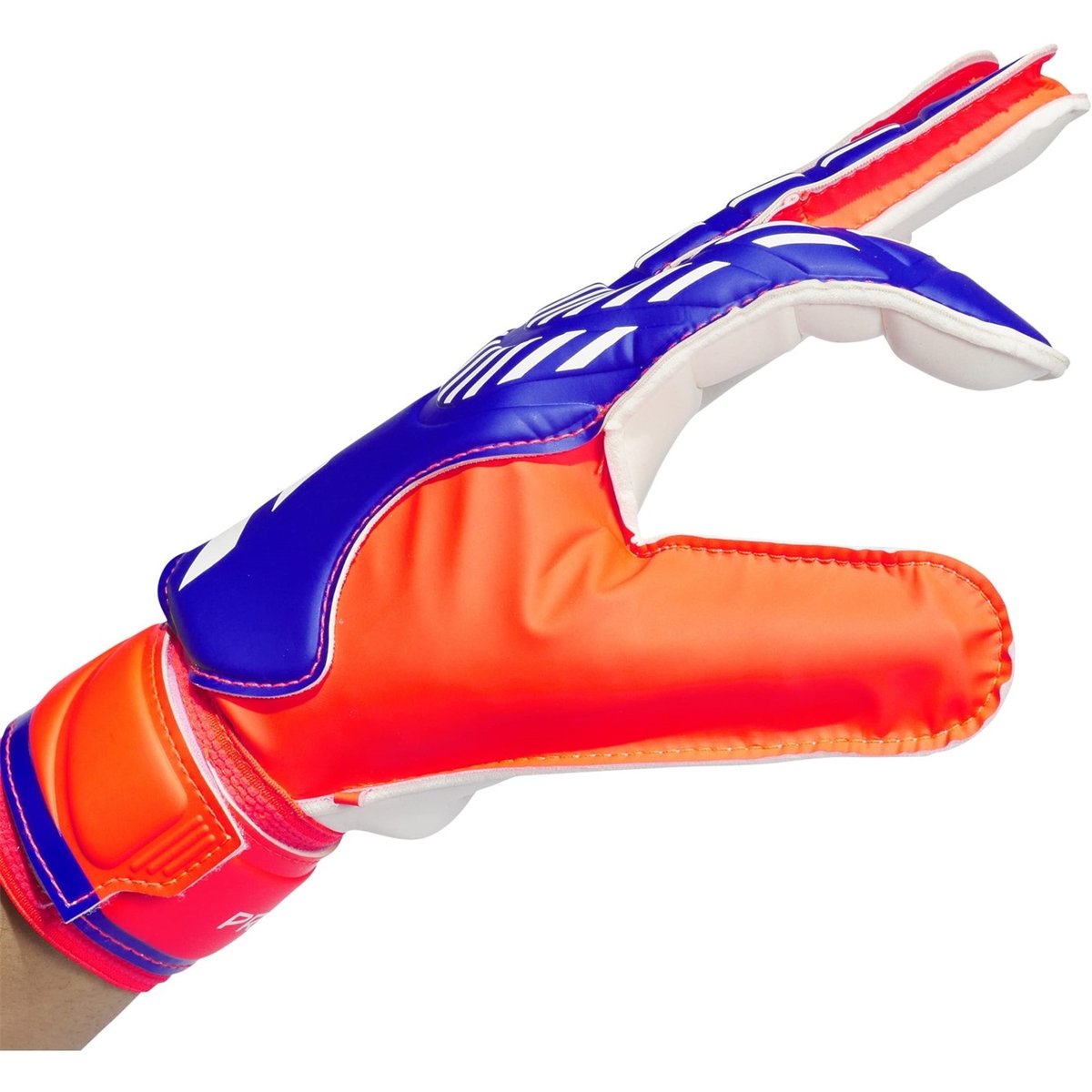 Predator Training Goalkeeper Gloves Adults
