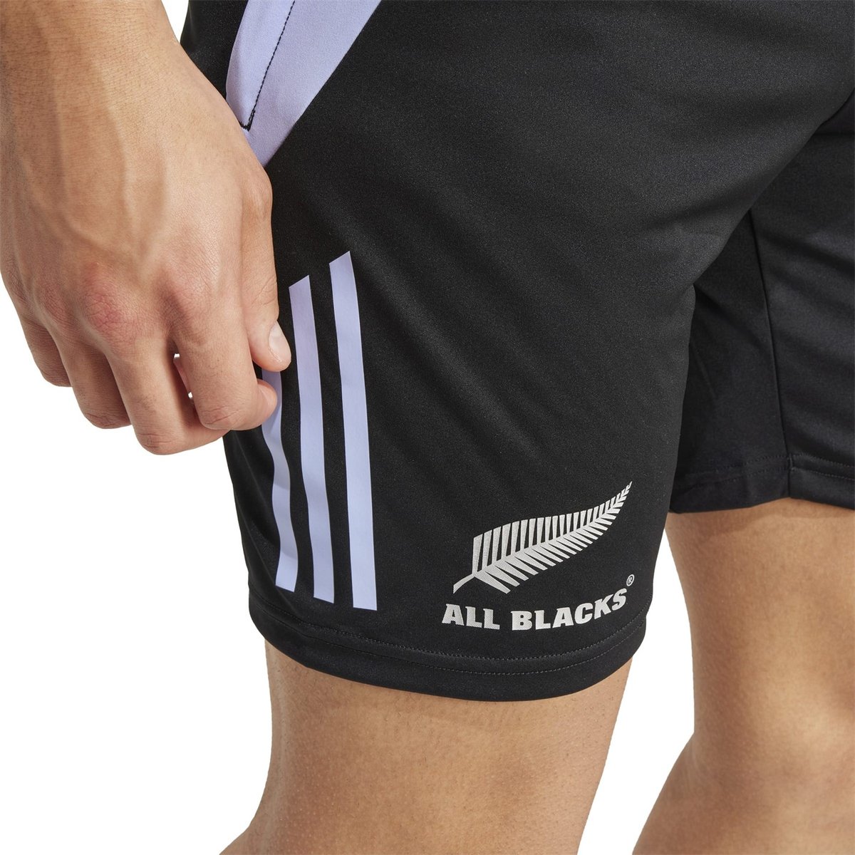 New Zealand All Blacks 2024 Gym Shorts Mens