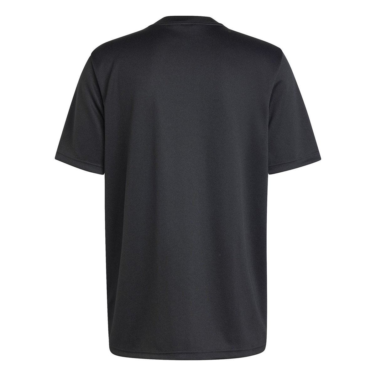 All Blacks Home Supporters Shirt 2024 Adults