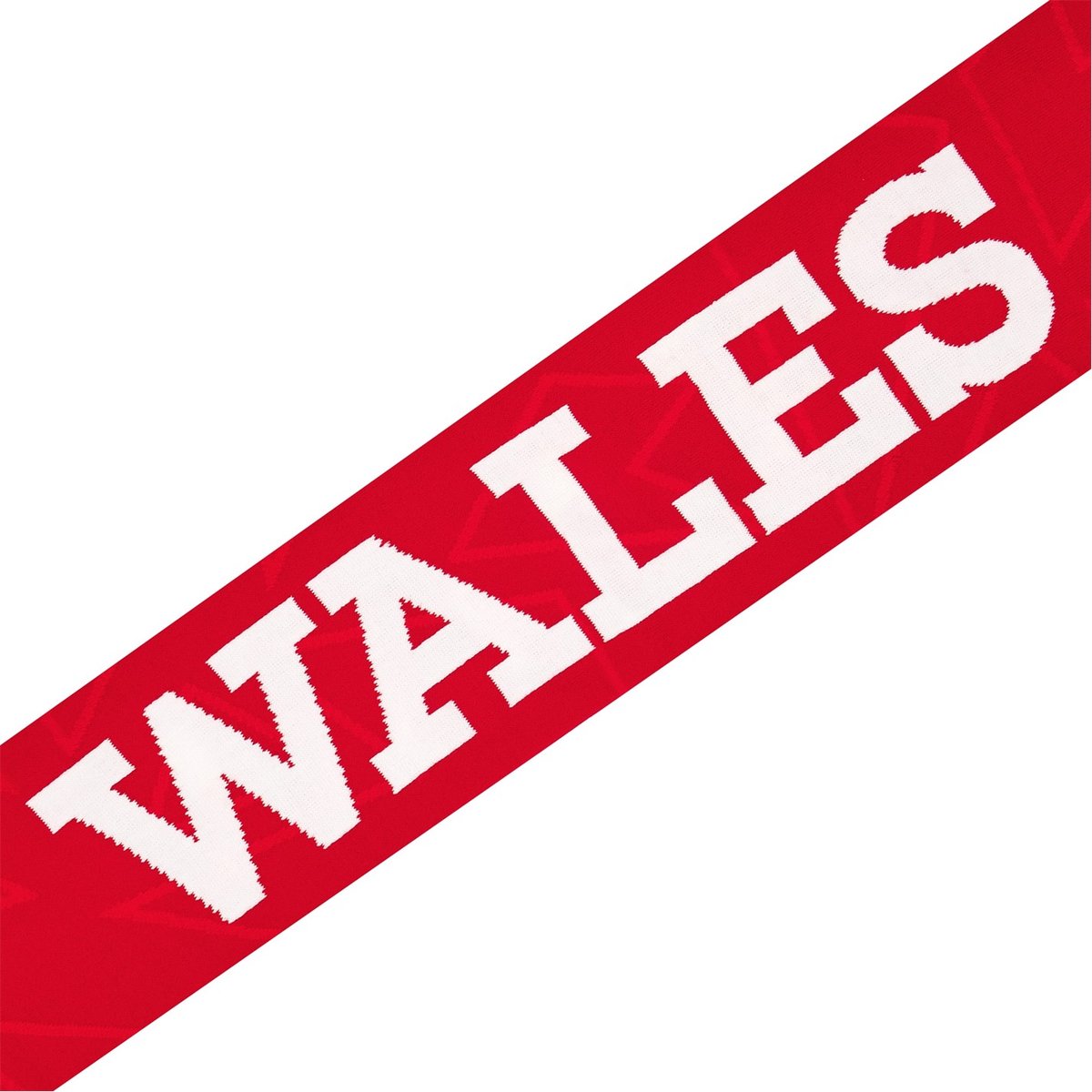 Wales 24/25 Scarf