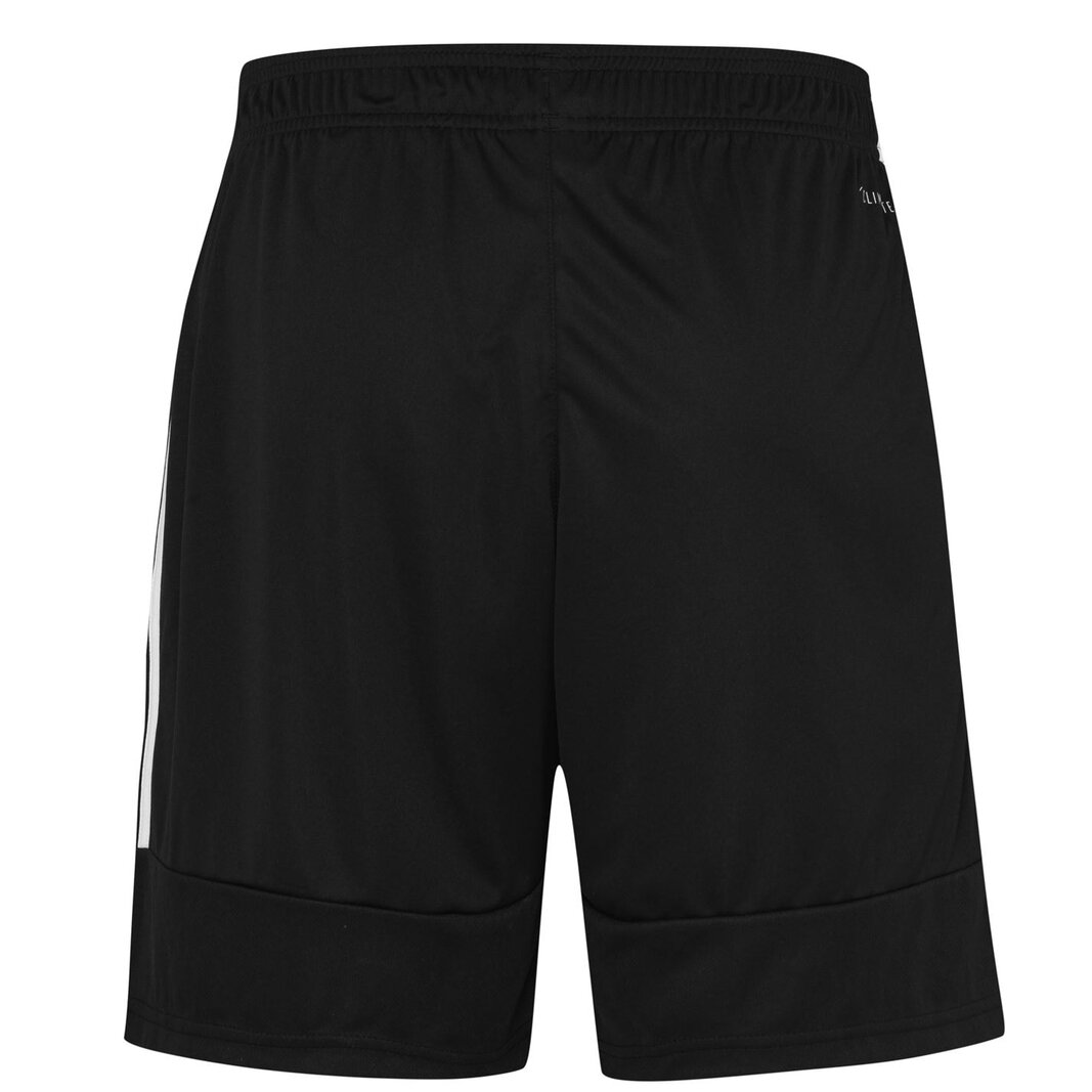 Sereno Training Shorts Mens