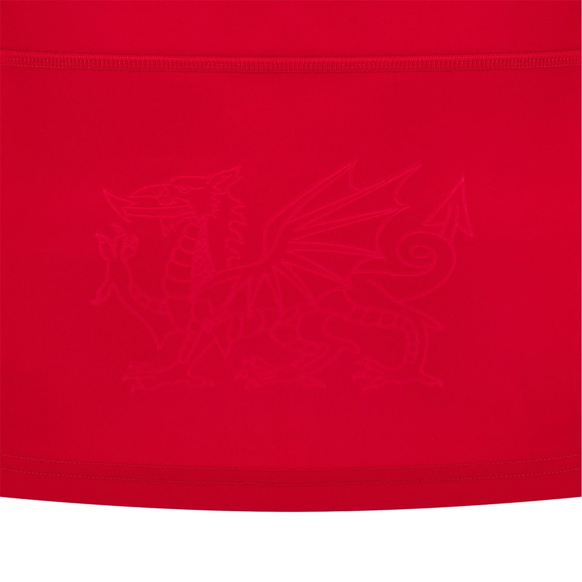 Wales 24/25 Home Rugby Shirt Ladies