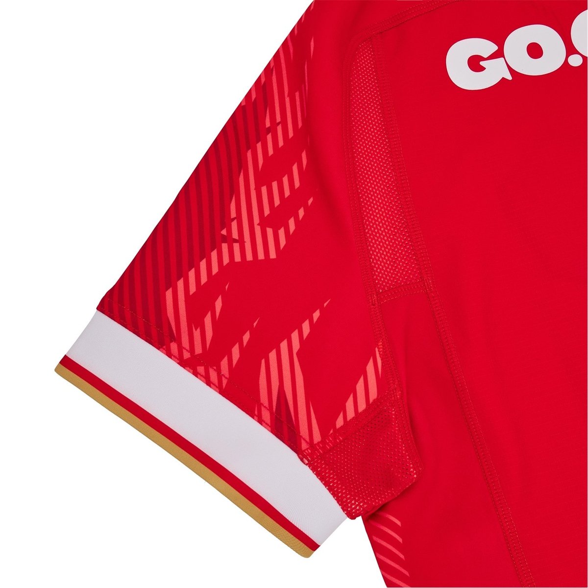 Wales 24/25 Authentic Home Rugby Shirt Mens