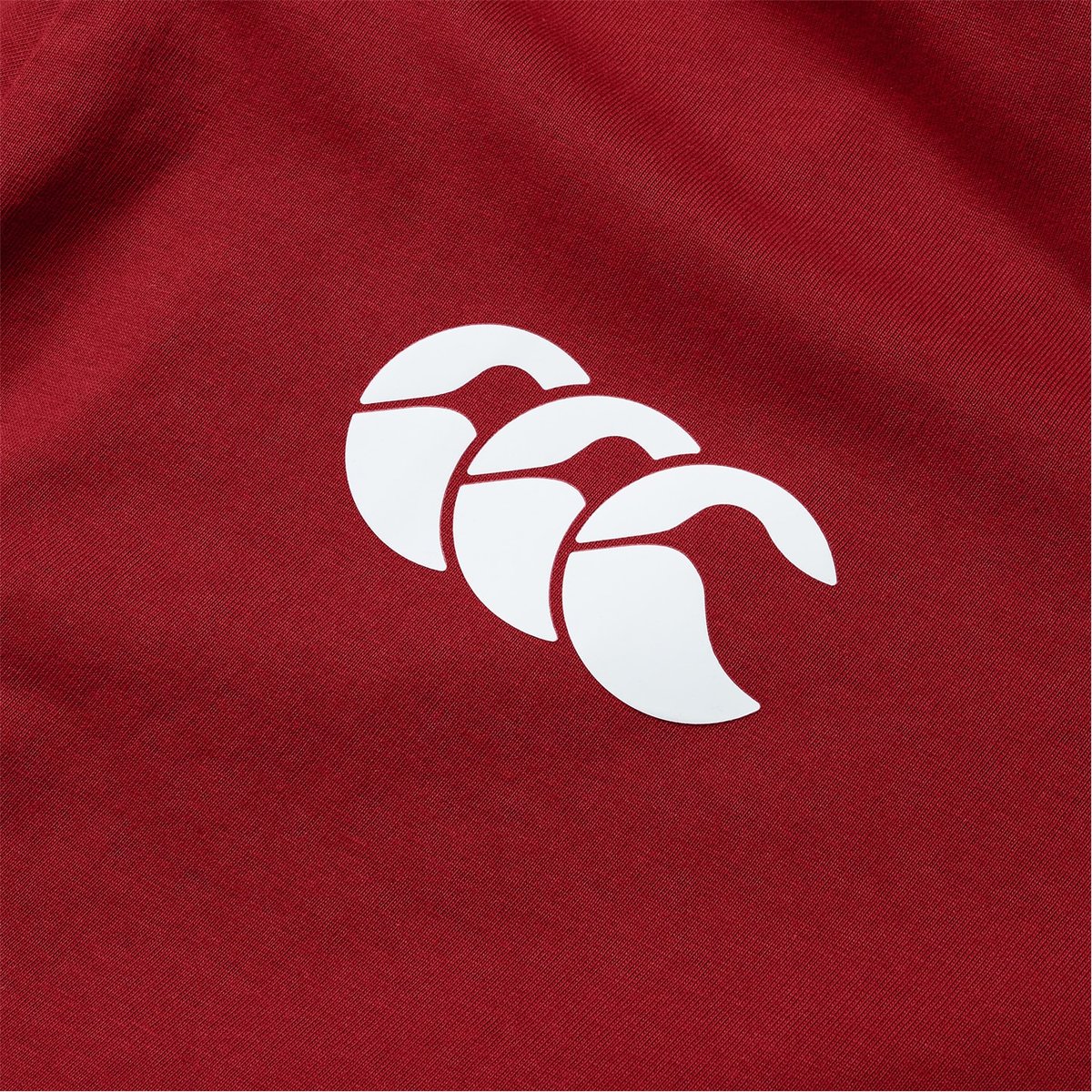 British and Irish Lions 2025 Cotton T-Shirt Adults