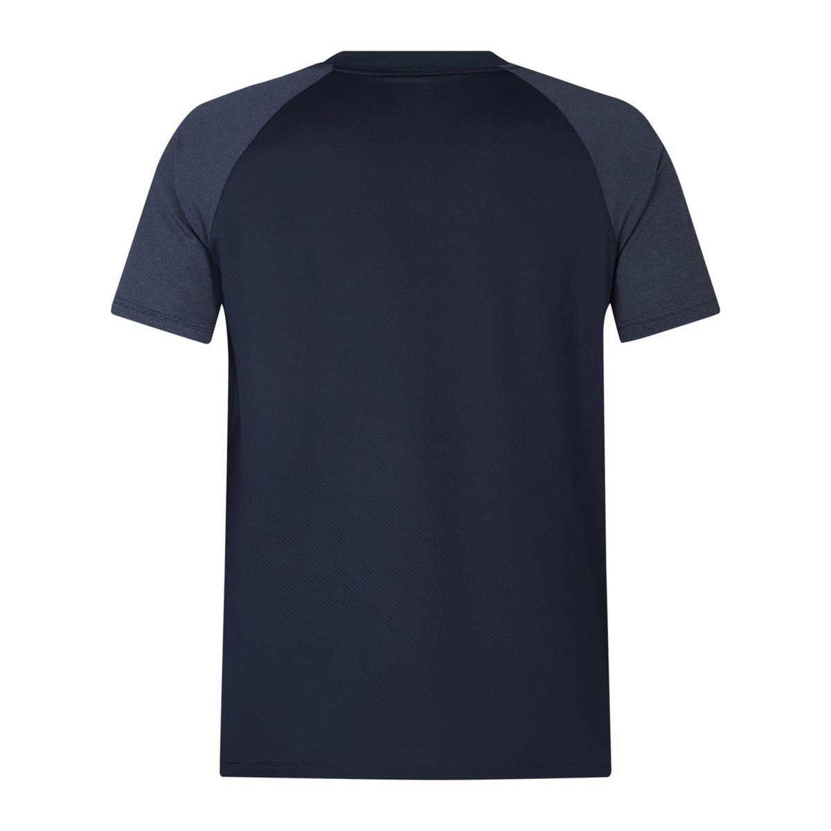 British and Irish Lions 2025 Polo Shirt Adults