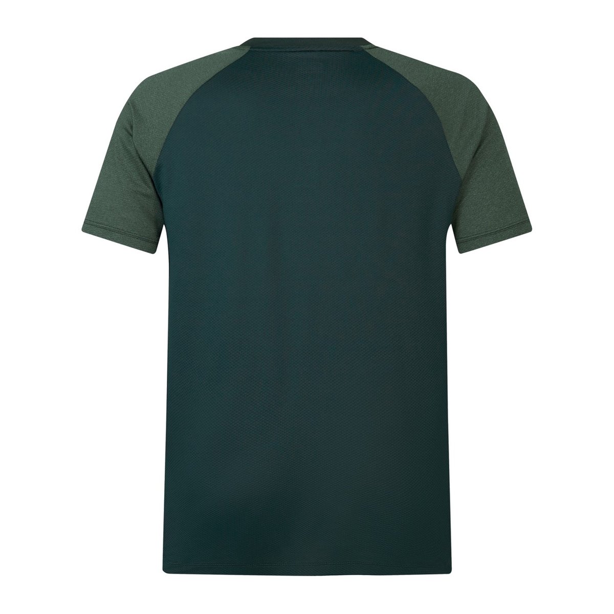 British and Irish Lions Polo Shirt 2025 Adults