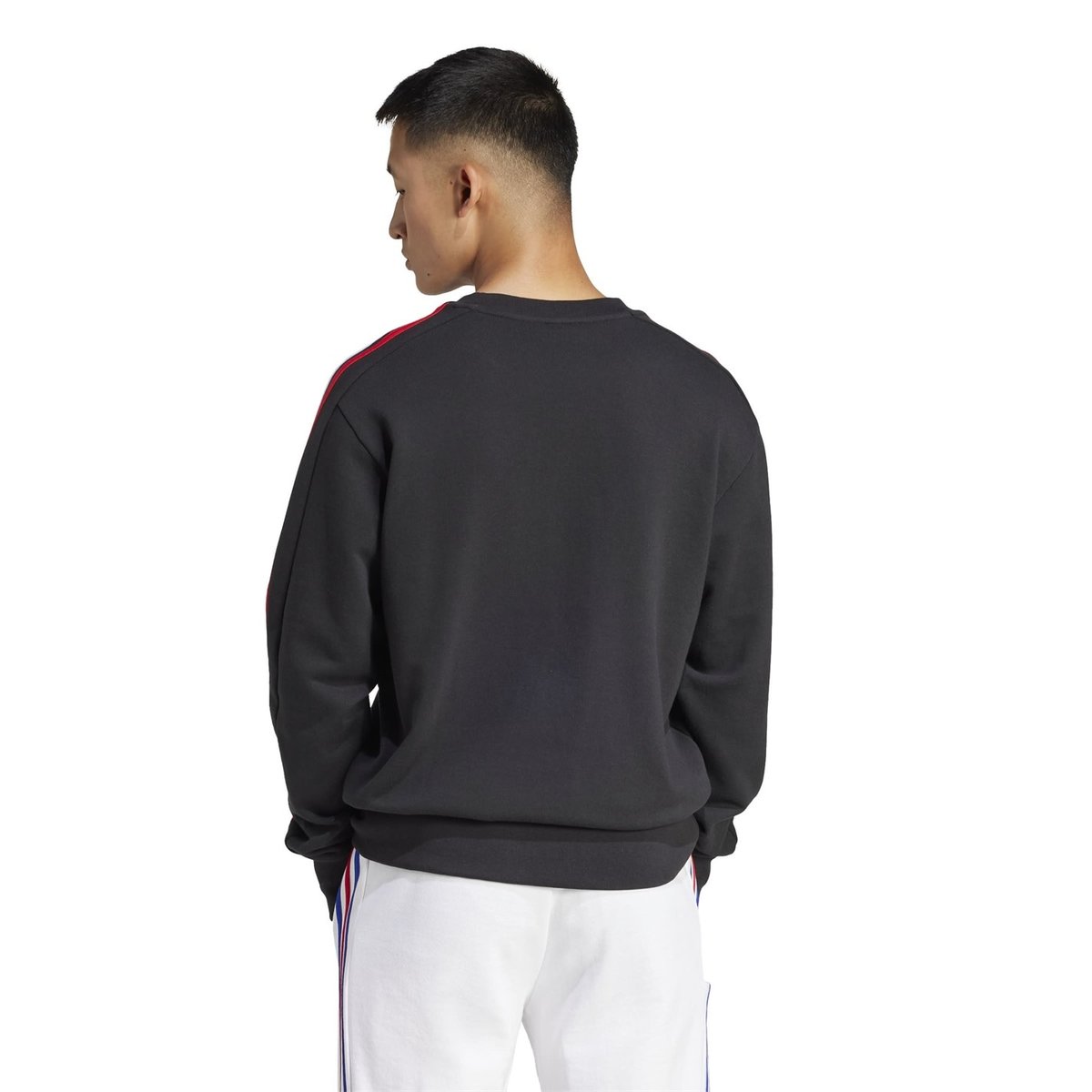 France Fan Crew Sweater 2025 Adults