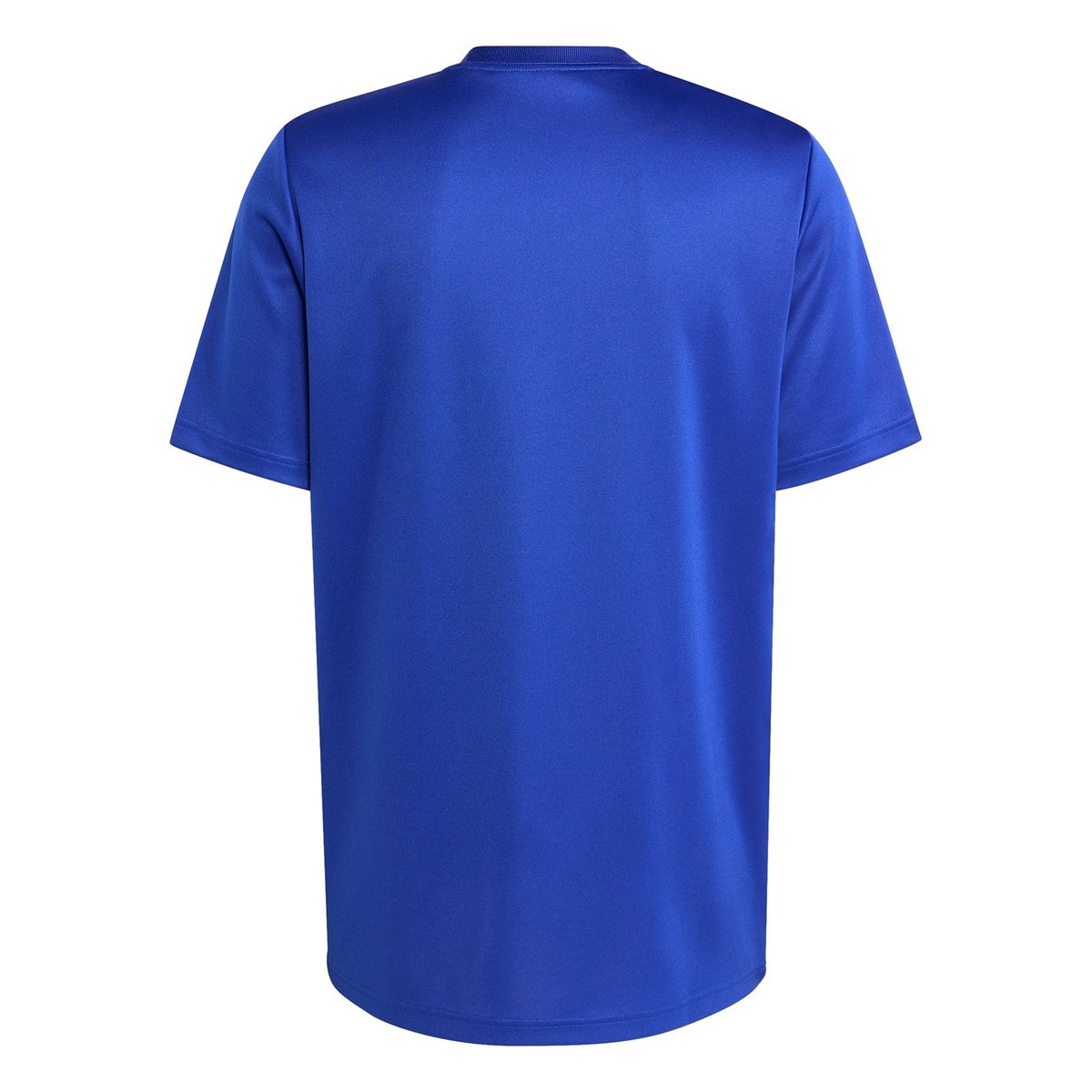 France Rugby Supporter T Shirt 2025 Adults